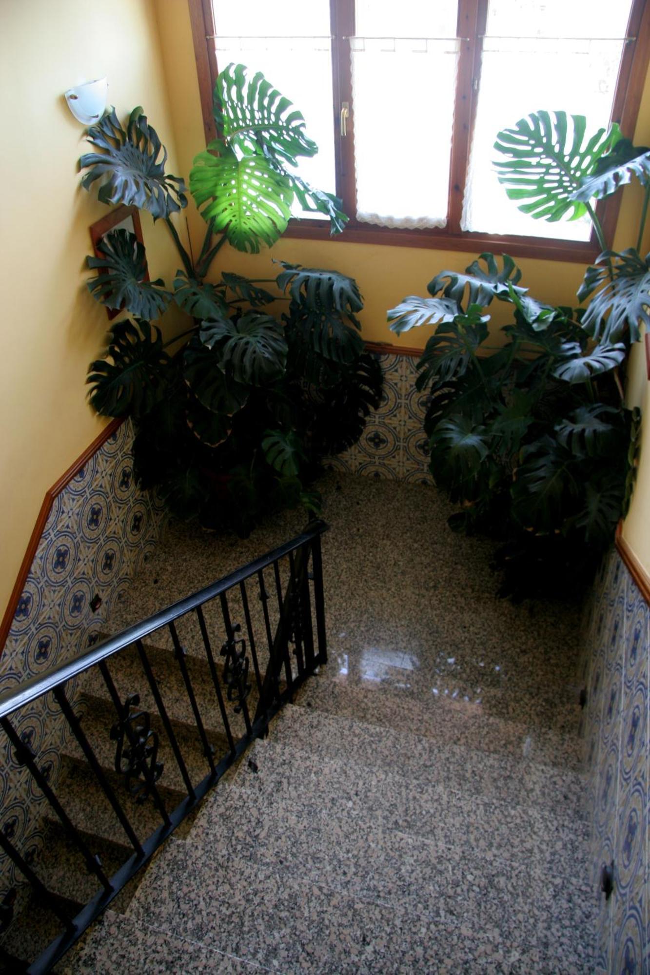 Hostal Casa Barranco Кастехон-дель-Пуэнте Экстерьер фото
